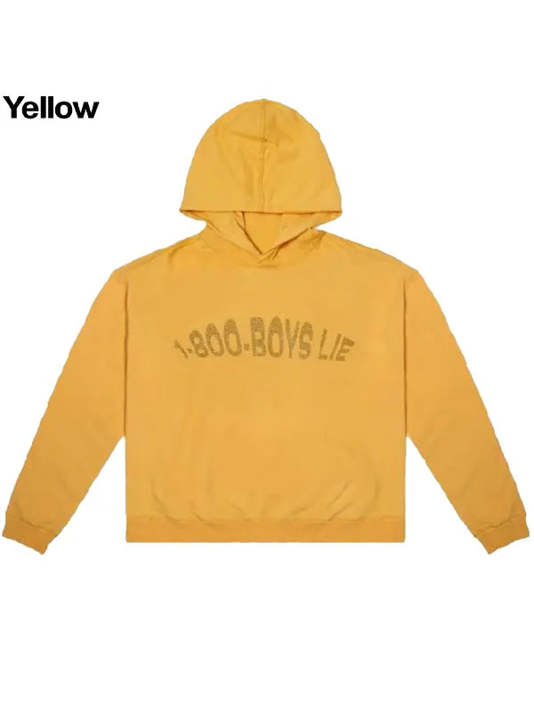 1-800-Boys Lie Hoodie