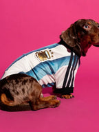 Adidas Dog Jersey Argentina