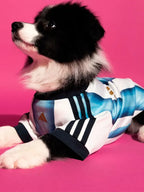 Adidas Dog Jersey Argentina