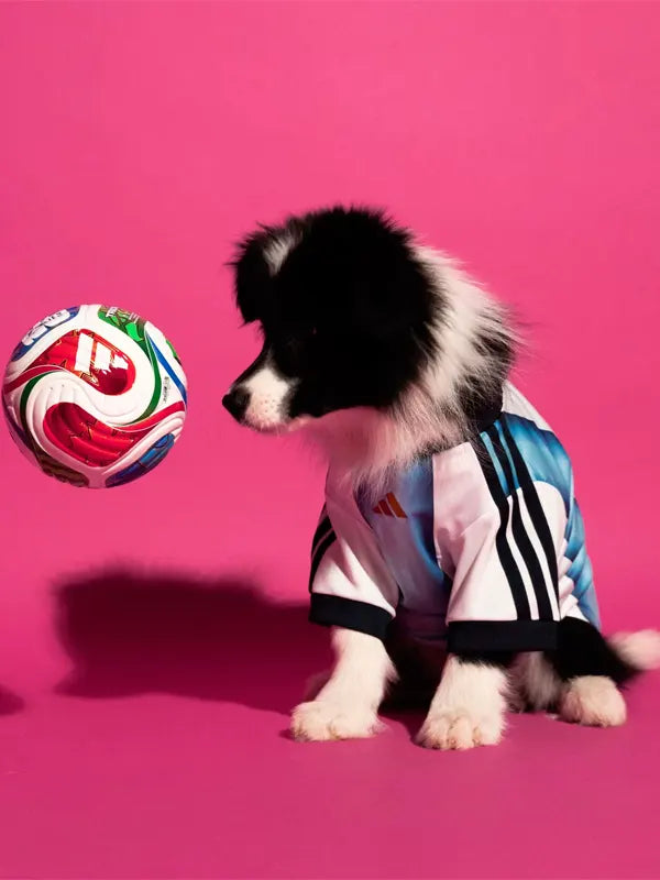 Adidas Dog Jersey Argentina