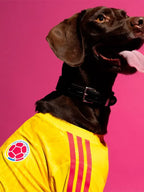 Adidas Dog Jersey Colombia