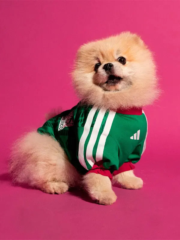 Adidas Dog Mexico Jersey