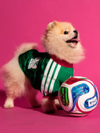 Adidas Dog Mexico Jersey