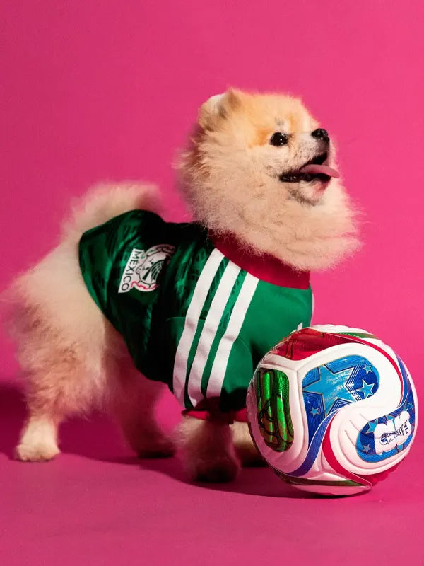 Adidas Dog Mexico Jersey