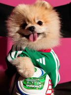 Adidas Dog Mexico Jersey
