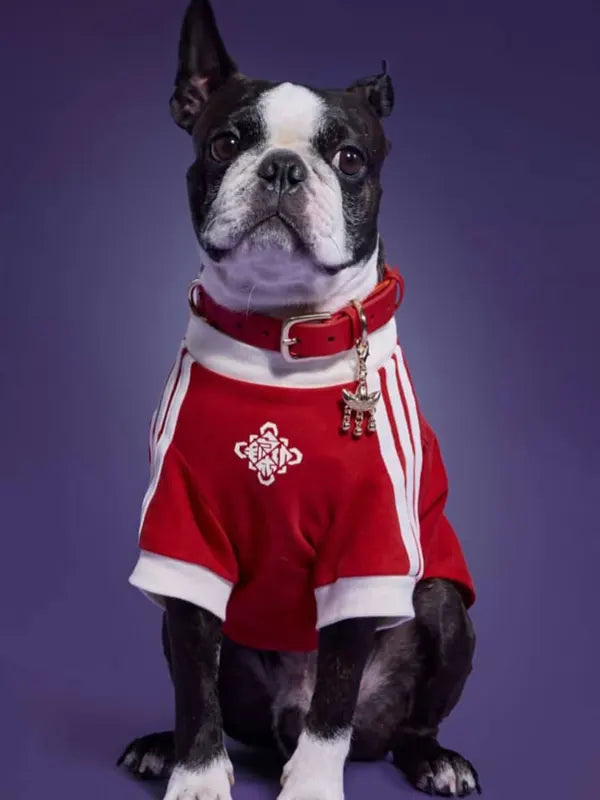 Adidas Dog Track Jacket