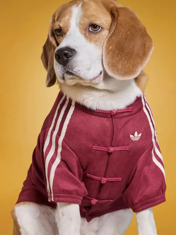 Adidas Dog Track Jacket