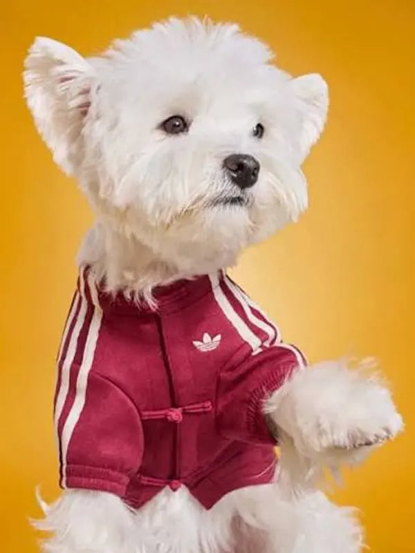Adidas Dog Track Jacket