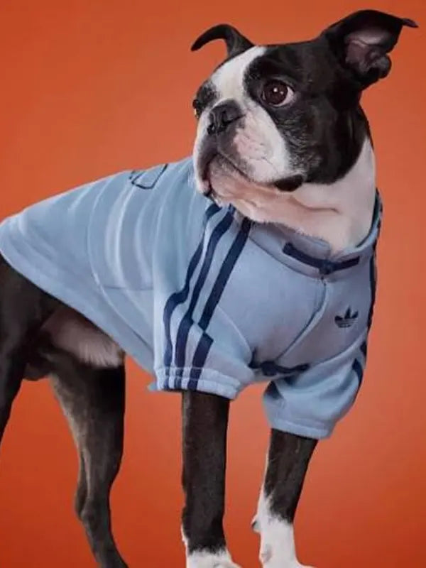 Adidas Dog Track Jacket