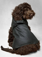 Arket Barbour Dog Jacket
