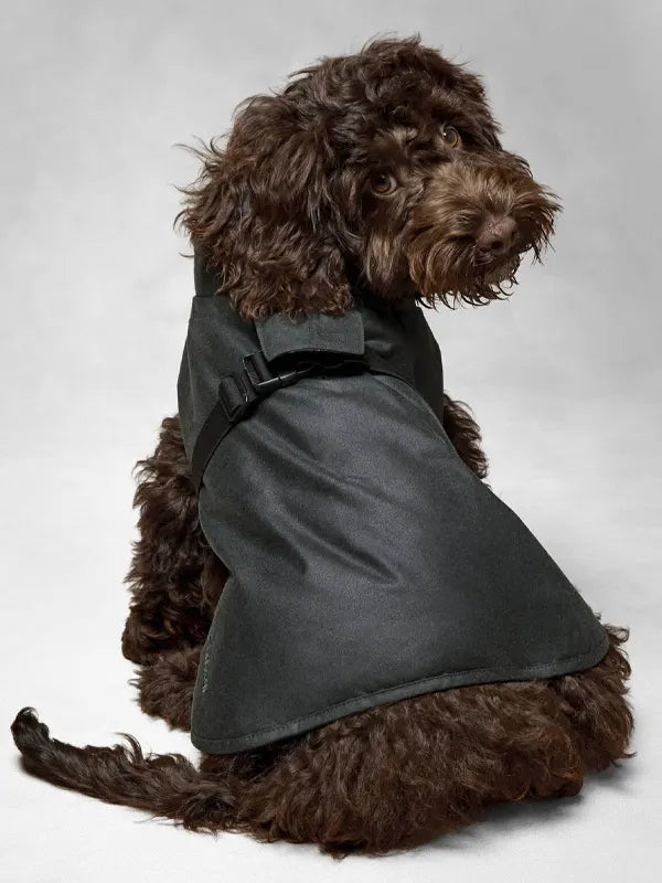 Arket Barbour Dog Jacket