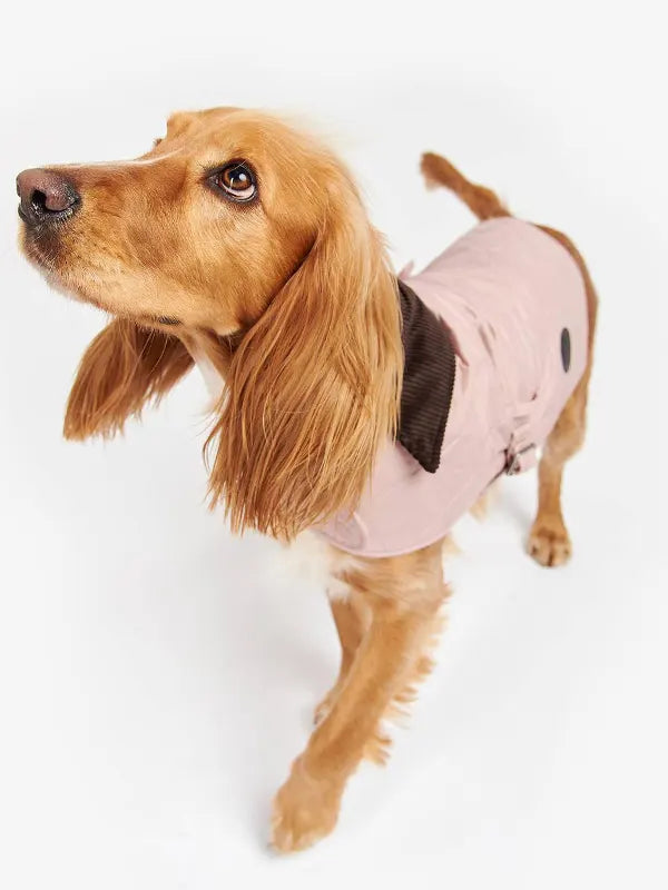 Barbour Dog Jacket Pink