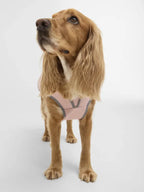 Barbour Dog Jacket Pink