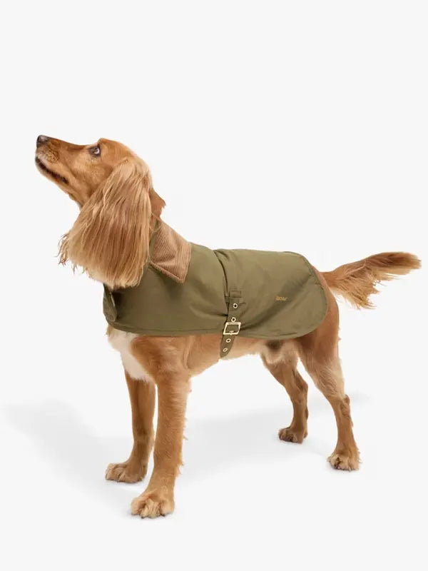 Barbour Dog Jacket John Lewis