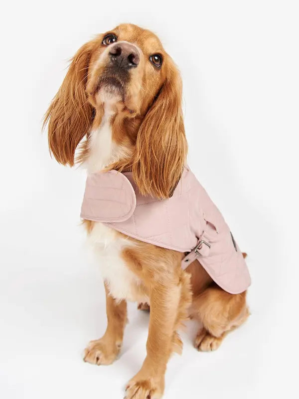 Barbour Dog Jacket Pink