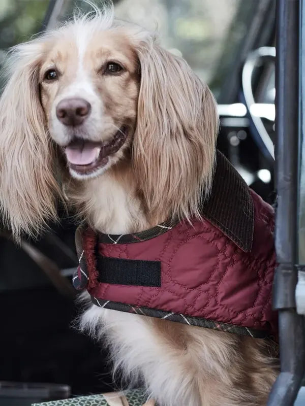 Barbour Dog Quilted Jacket