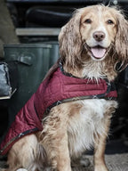 Barbour Dog Quilted Jacket