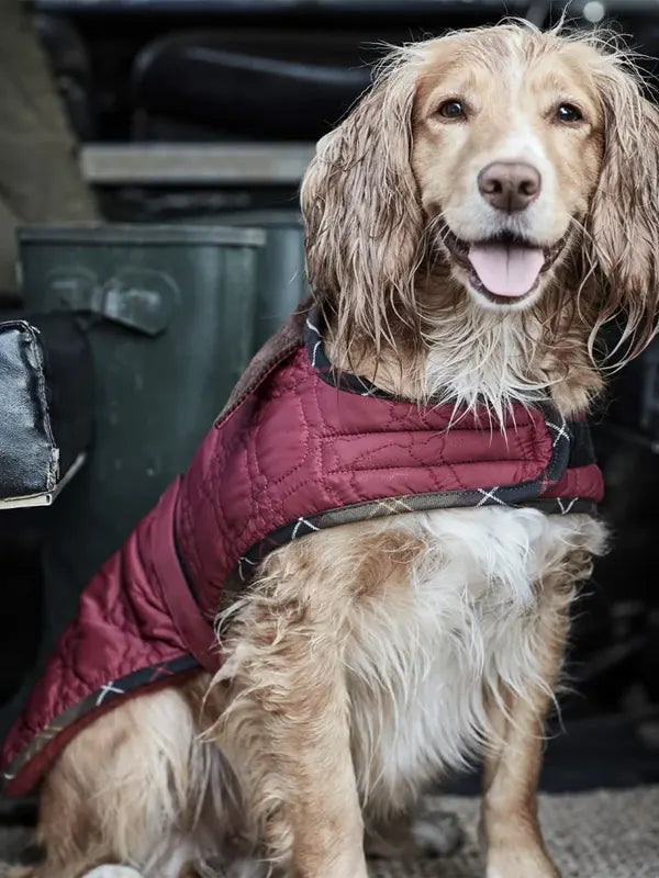 Barbour Dog Quilted Jacket
