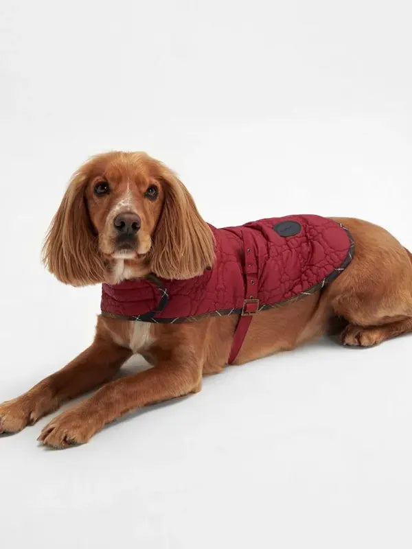 Barbour Dog Quilted Jacket