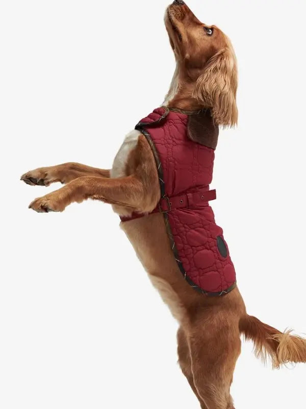 Barbour Dog Quilted Jacket