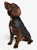 Black Barbour Dog Jacket