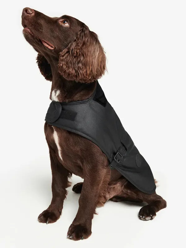 Black Barbour Dog Jacket