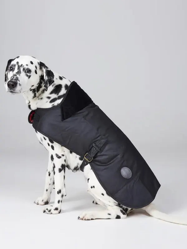Black Barbour Dog Jacket