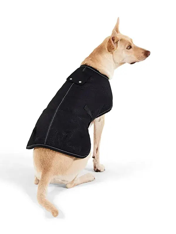 Dog Jacket Petbarn