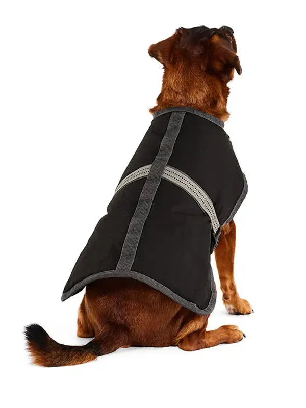 Dog Jacket Petbarn