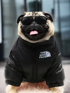 Black North Face Dog Jacket