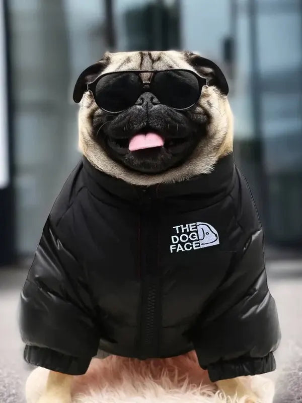 Black North Face Dog Jacket