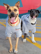 Dog Jacket Bunnings