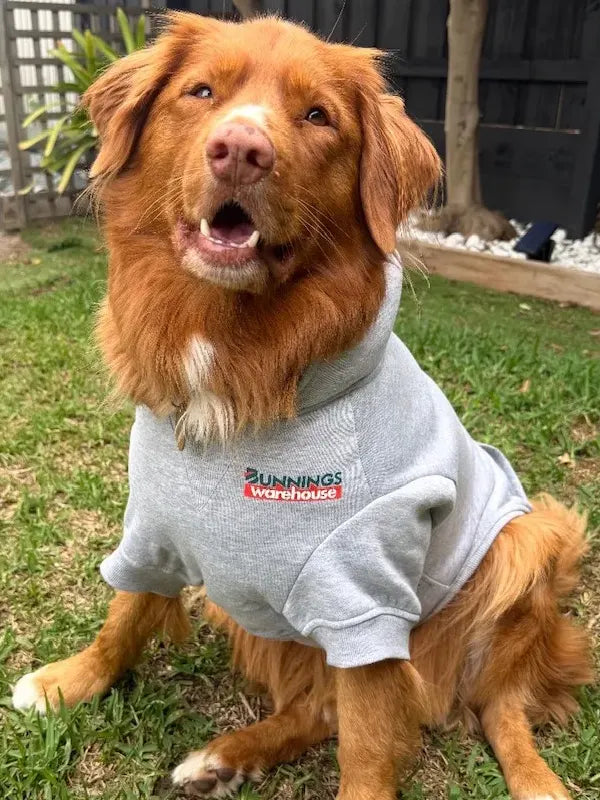 Dog Jacket Bunnings