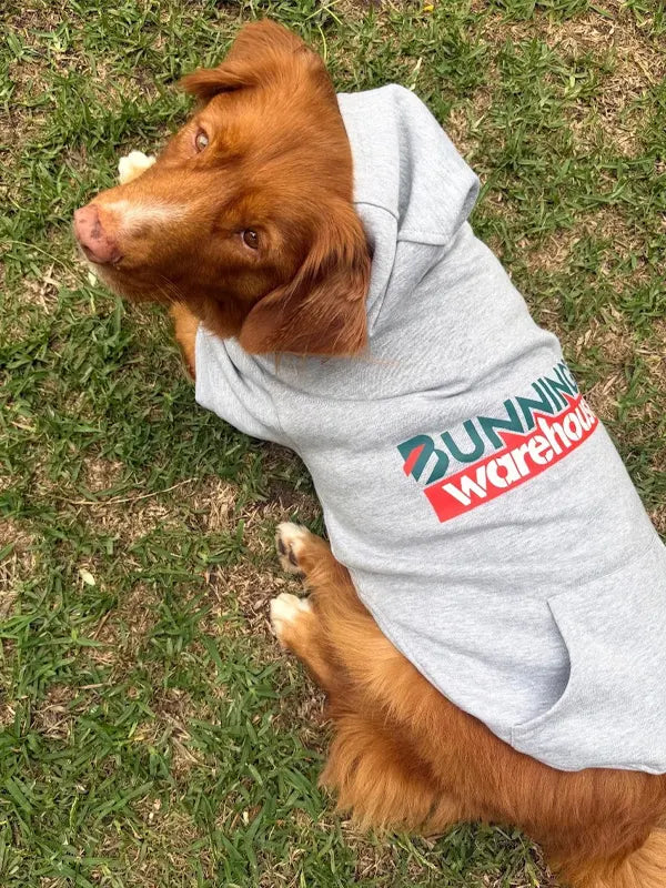 Dog Jacket Bunnings