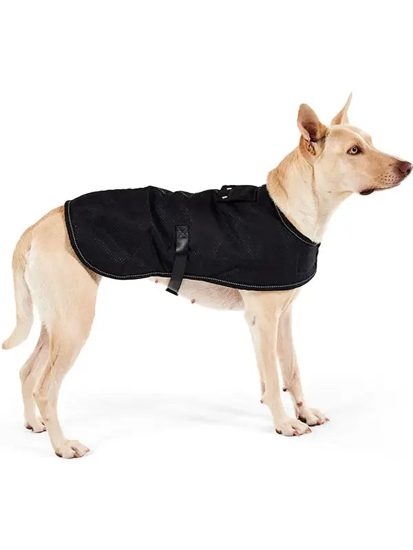 Dog Jacket Petbarn