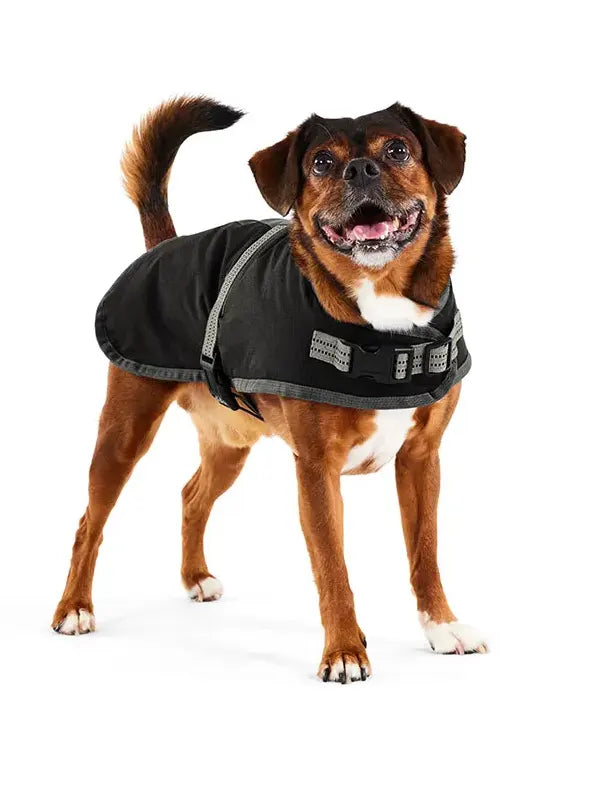 Dog Jacket Petbarn
