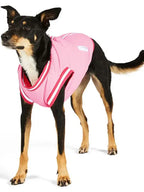Dog Jacket Petbarn