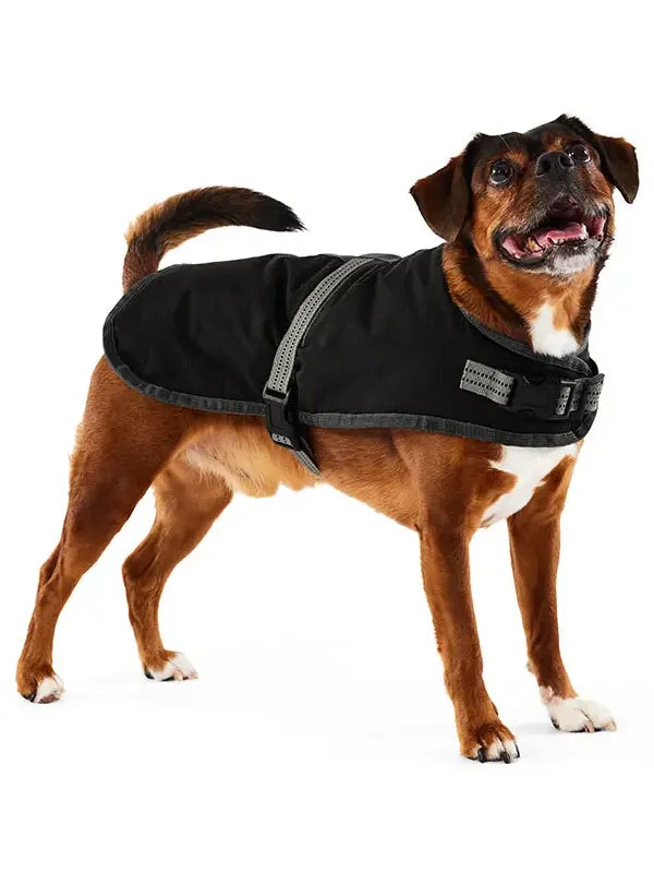 Dog Jacket Petbarn