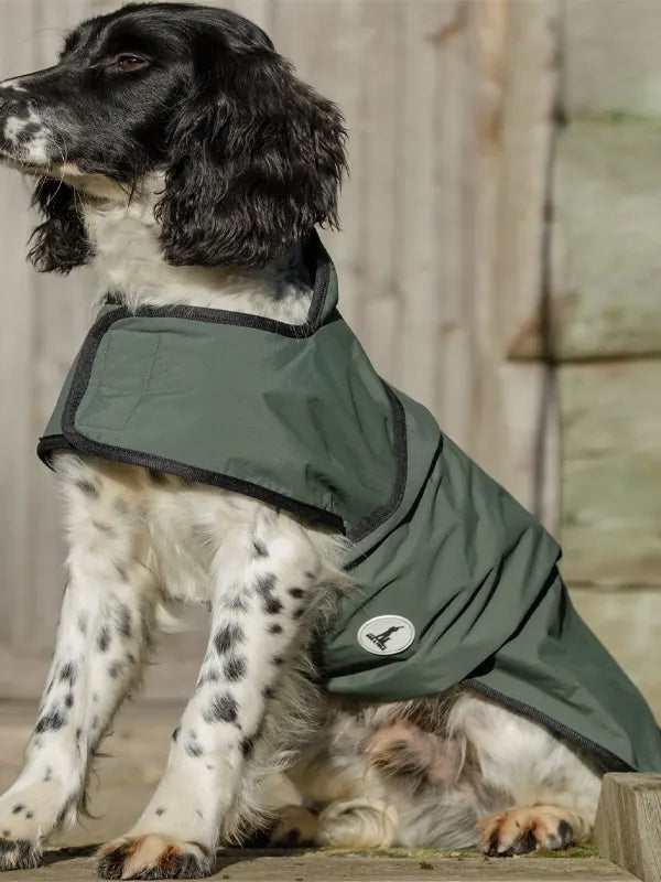 Waterproof Dog Jacket