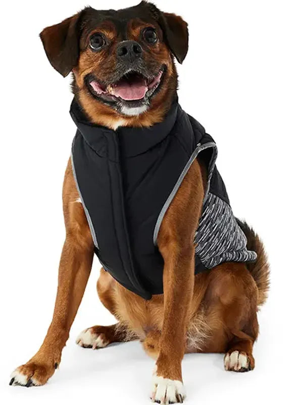 Kong Dog Jacket Petbarn