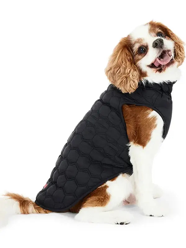 Kong Dog Jacket Petbarn