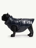 Moncler Dog Jacket Black