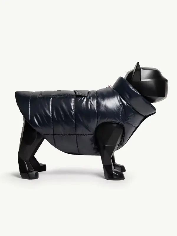 Moncler Dog Jacket Black