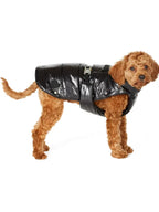 Moncler Dog Jacket Black