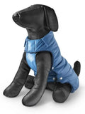 Moncler Dog Jacket Blue