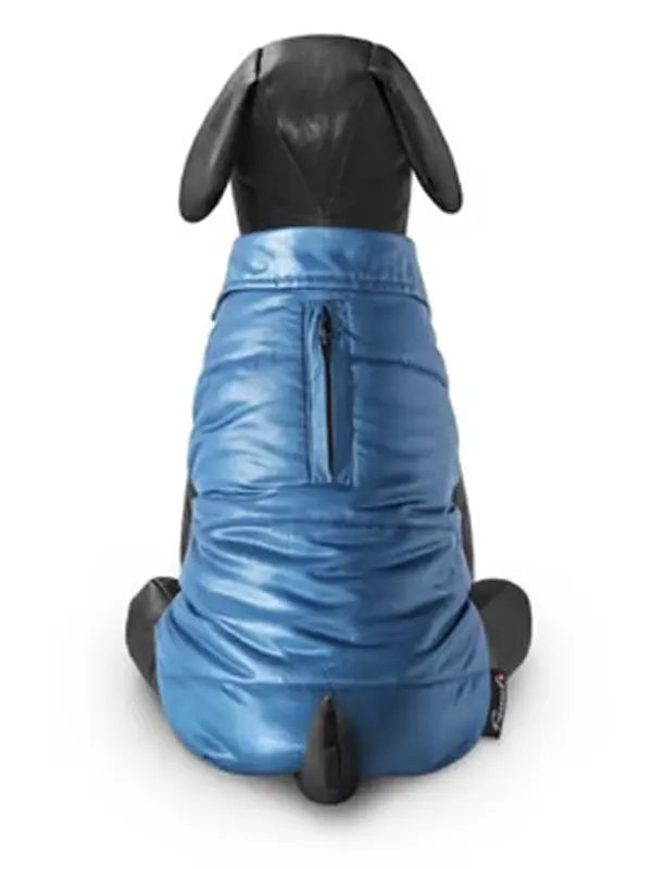 Moncler Dog Jacket Blue