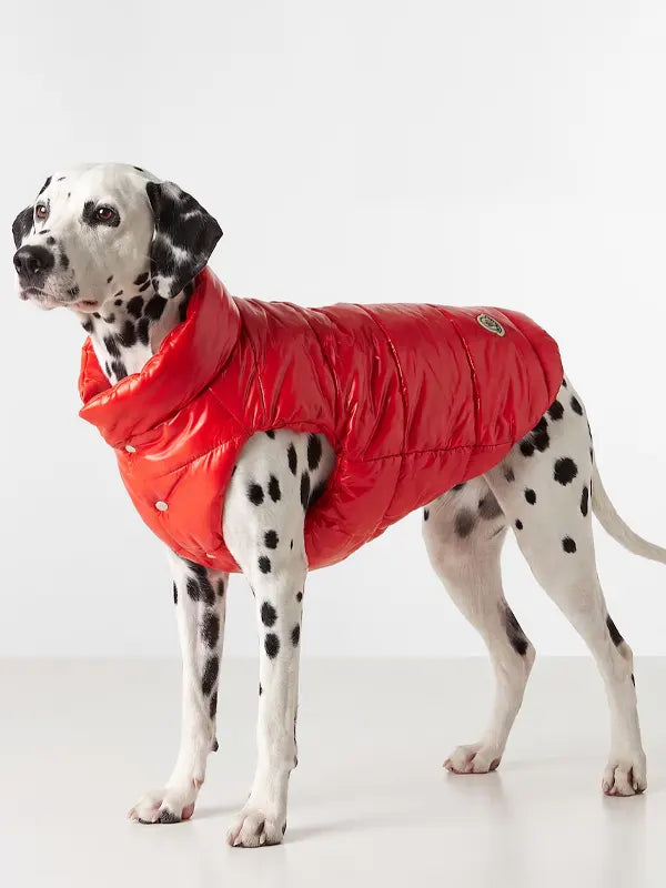 Moncler Dog Jacket Red