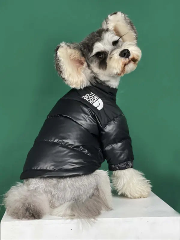 North Face Dog Jacket