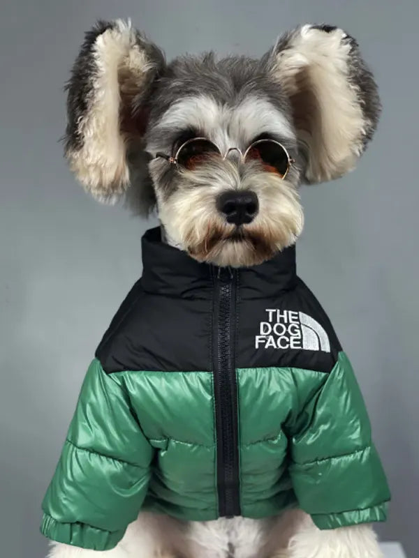 North Face Dog Jacket