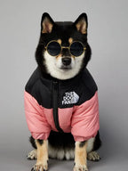 North Face Dog Jacket